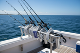 Set of white bungee cords with black specks along a boat rail near fishing rods